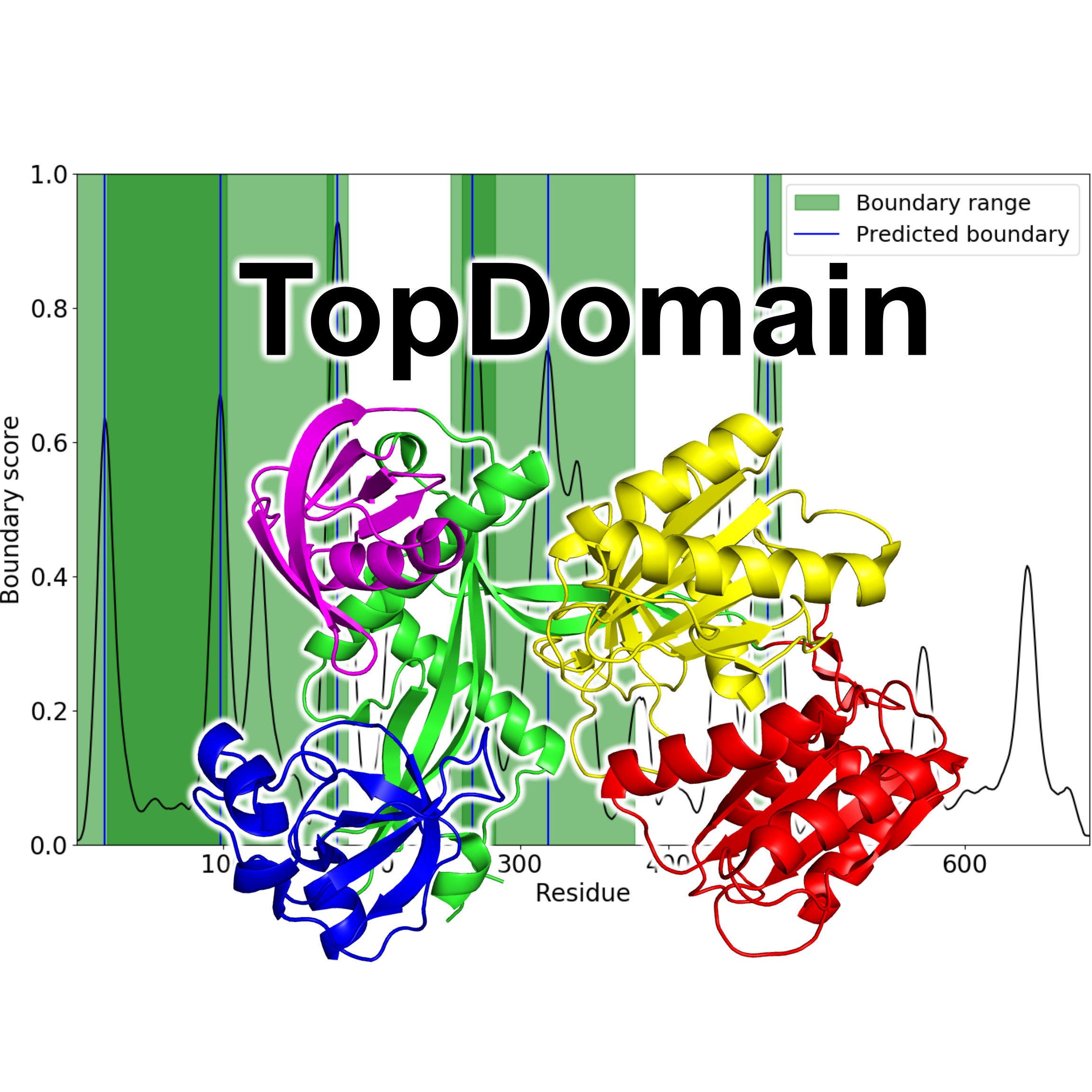 Top Domain