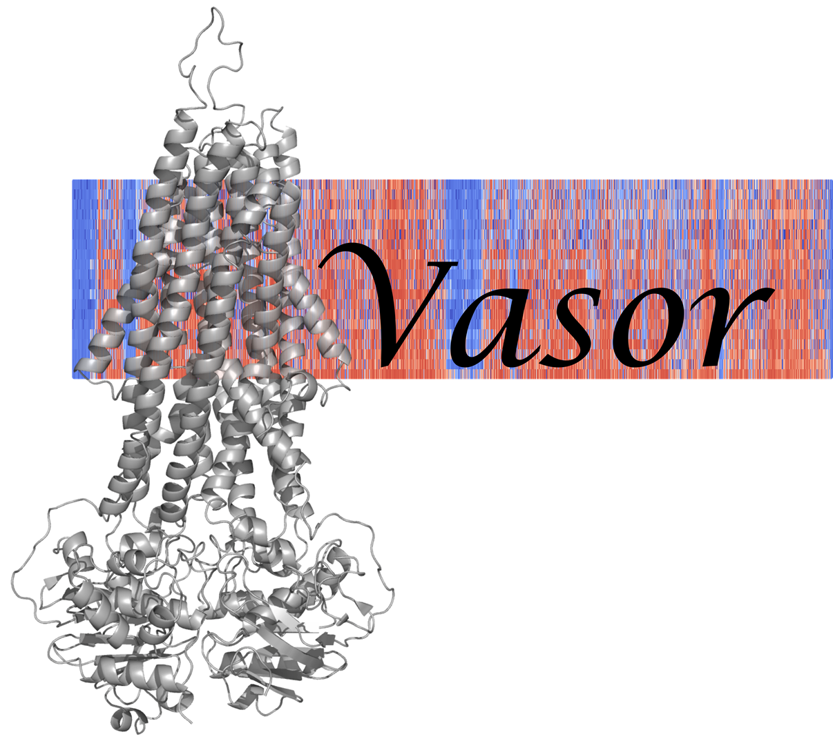 Vasor