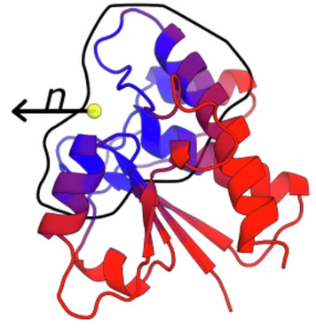 New publication in Nature communications - TopEC: a new AI-based method for the prediction of Enzyme Commission classes
