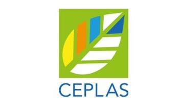 We are part of the Cluster of Excellence CEPLAS III - Cluster of Excellence on Plant Sciences
