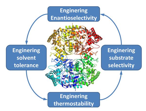 Identification of improved transaminases variants using machine learning