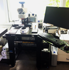 ApoTome Fluorescence Microscope