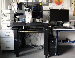 Live cell imaging setup