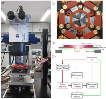 Magnetic Tweezers and Magnetic Twisting Cytometry