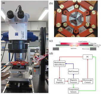Magnetic Tweezers and Magnetic Twisting Cytometry