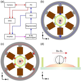 Magnetic Tweezers and Magnetic Twisting Cytometry