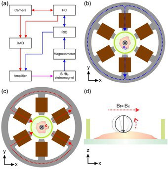 Magnetic Tweezers and Magnetic Twisting Cytometry