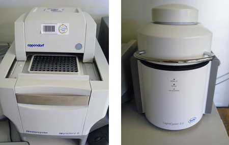 Molecular Genetics Facilities