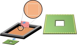 Screen Printer