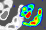 02-Magnetic%20Field%20Sensors-Logo.normal.png