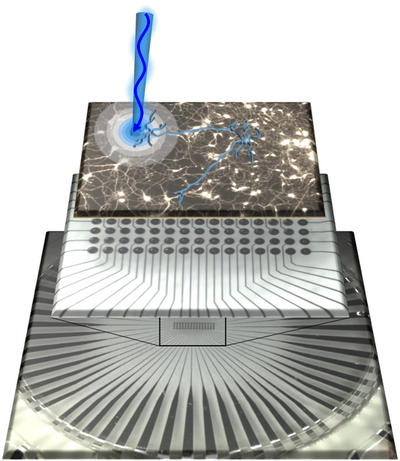 Optogenetics_2_220.poster.png