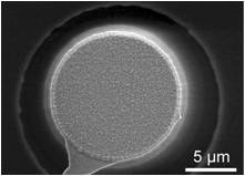 A close-up view of a circular structure with a textured surface, surrounded by a darker, blurred background. (Mistral: Pixtral Large 2411, 2026-03-17)