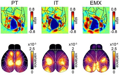 Pyramidal cell types drive functionally distinct cortical activity patterns during decision-making