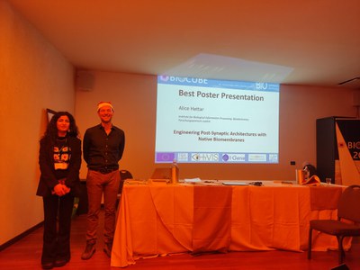 Alice-posterprize2.png