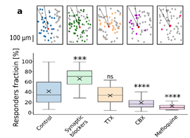 Manipulating Key Neurons