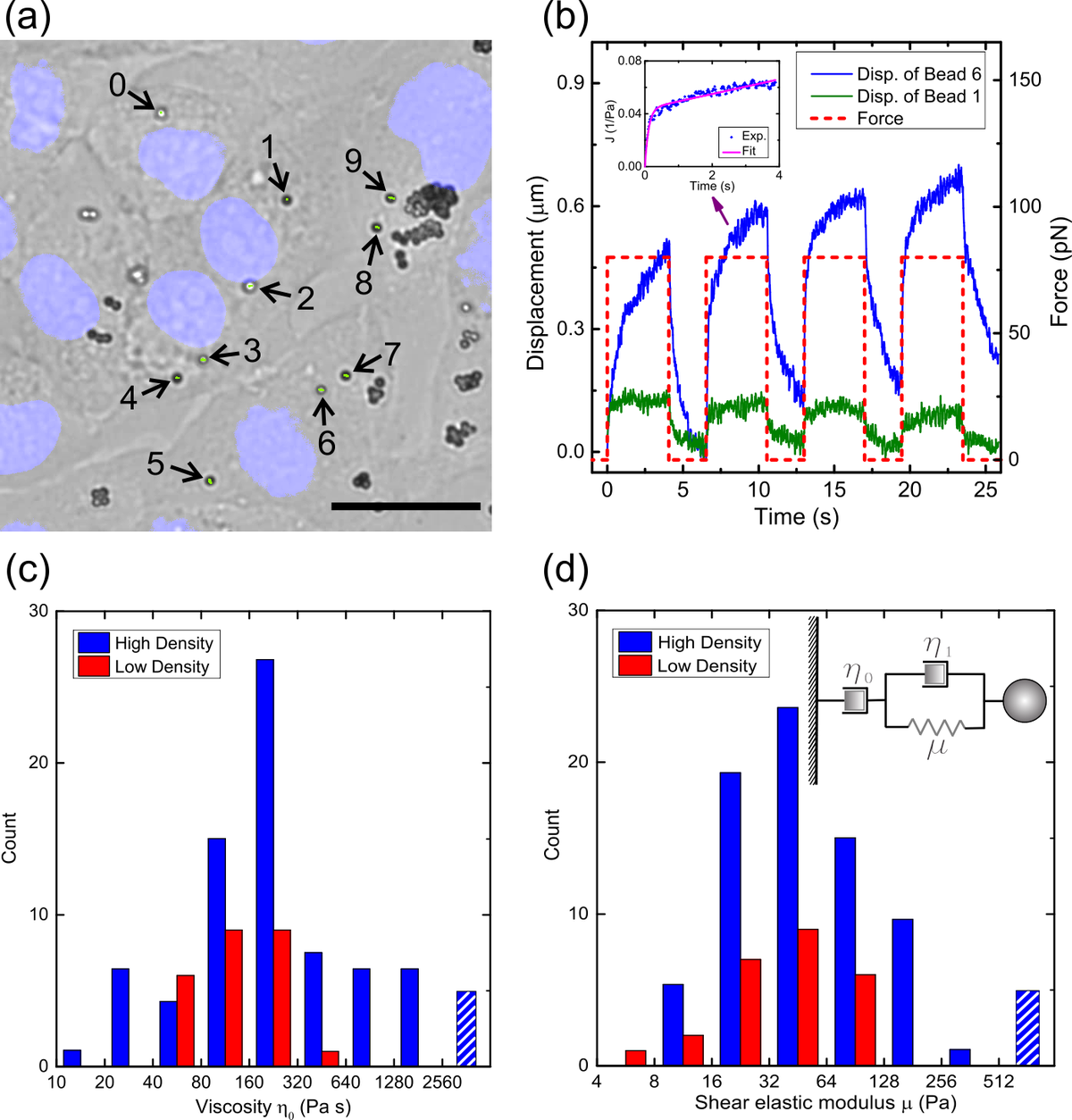 Magnetic Particle Actuation for Microrheometry