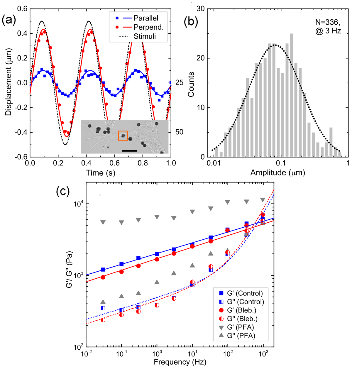 Magnetic Particle Actuation for Microrheometry