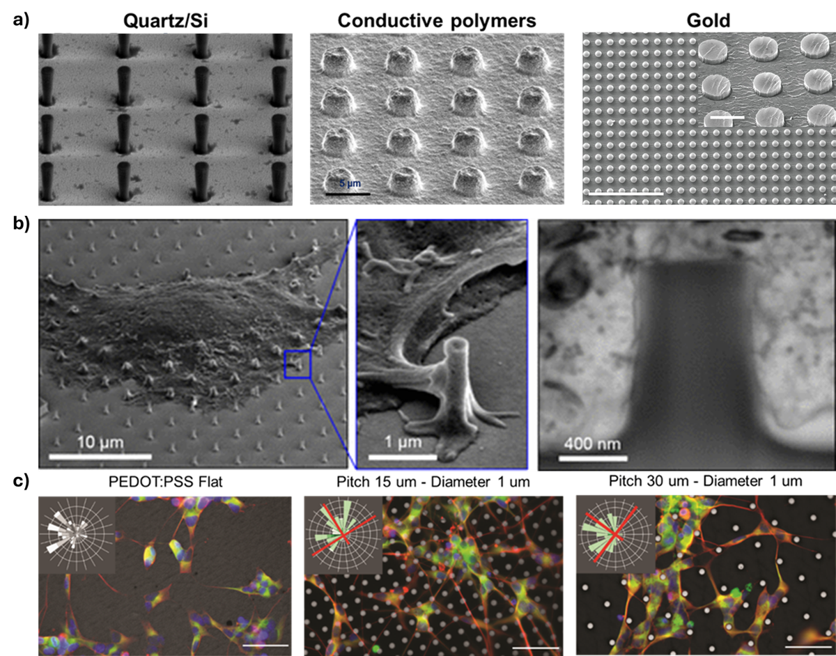 Neuroengineering