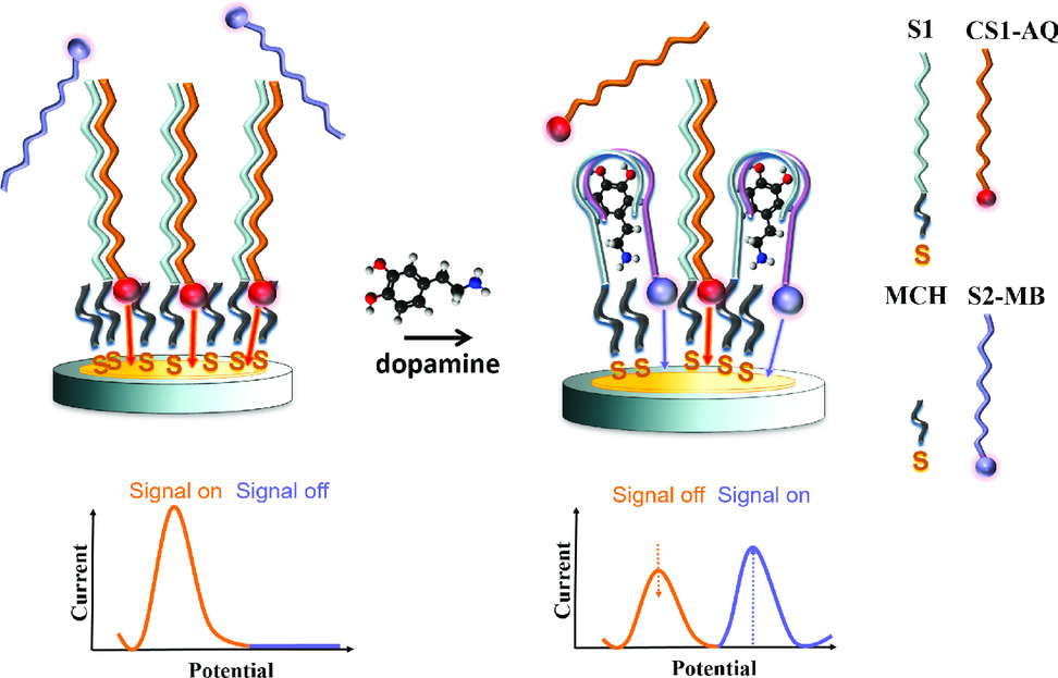 Aptamer sensors