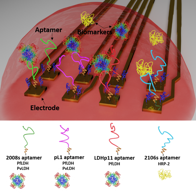 Aptamer sensors