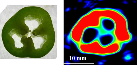 Low Field Magnetic Resonance Imaging
