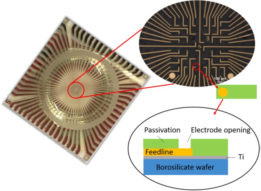 Wireless floating microelectrode array (WFMA) device before