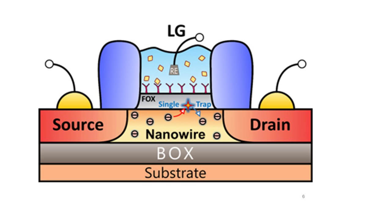 Nanowire/Graphene FETs