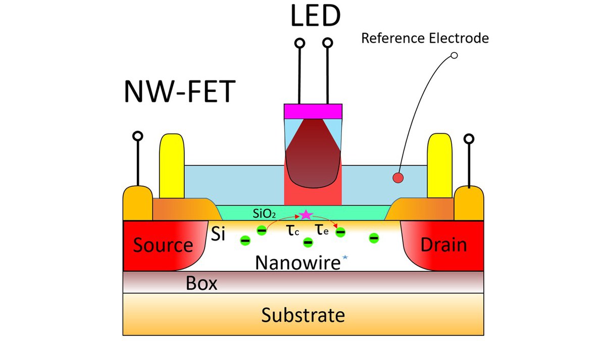 Nanowire/Graphene FETs