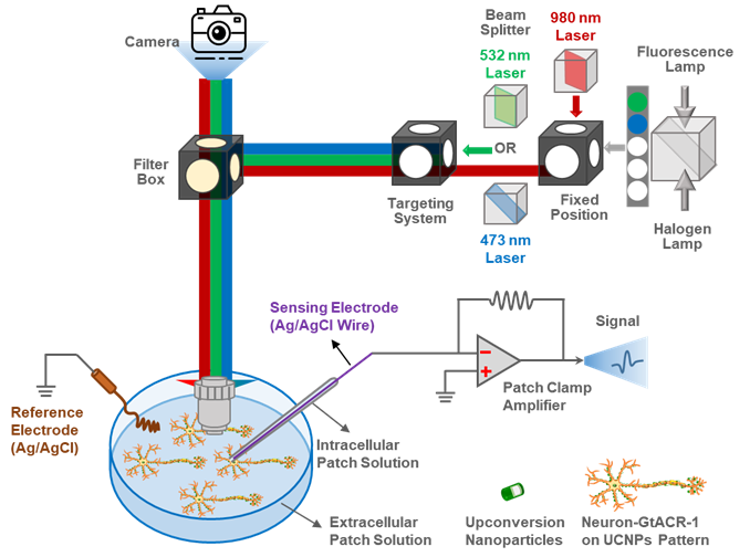 Optical Methods