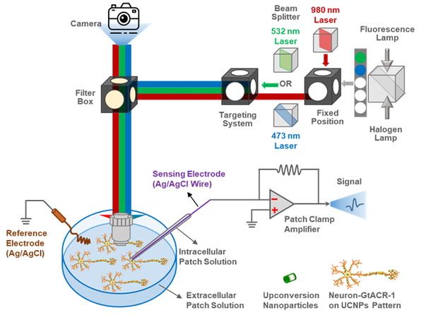 Optical Methods