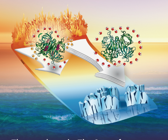 Thermophorese von biologischen Verbindungen in wässrigen Medien