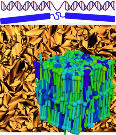 Phase Behaviour