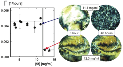 Phase Behaviour