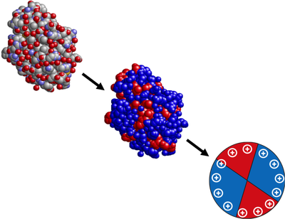 Phase Behaviour