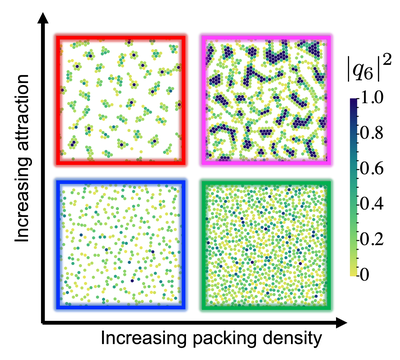 Phase Behaviour