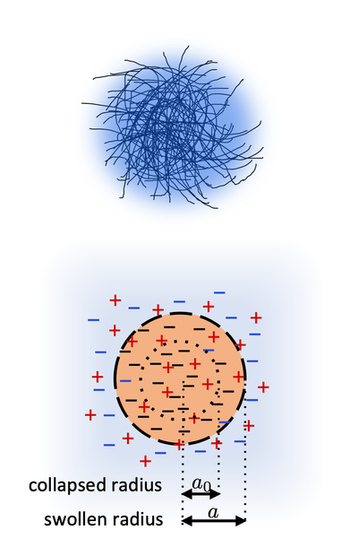 Transport Phenomena