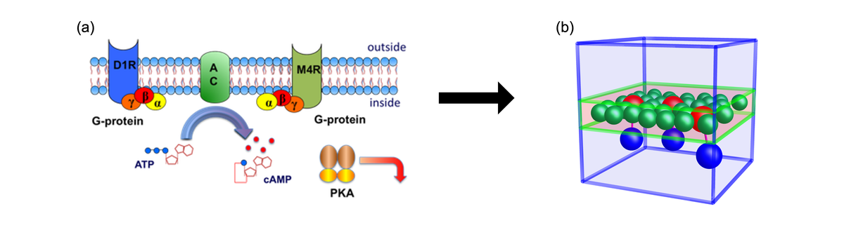 Transport Phenomena