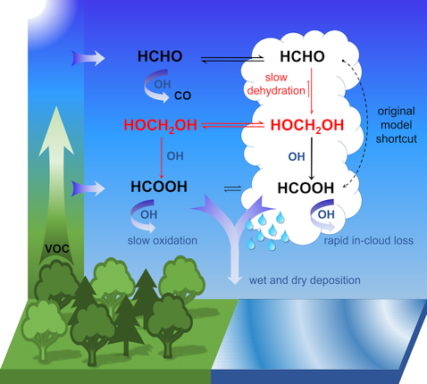 Mechanism Deciphered: How Organic Acids Are Formed in the Atmosphere