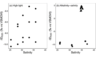 Effects of alkalinity and salinity at low and high light intensity on hydrogen isotope fractionation of long-chain alkenones produced by Emiliania huxleyi