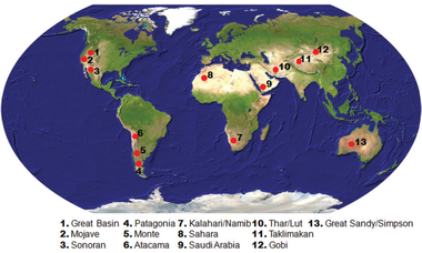 Effects of mineral dust on global atmospheric nitrate concentrations