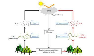 Environmental conditions regulate the impact of plants on cloud formation