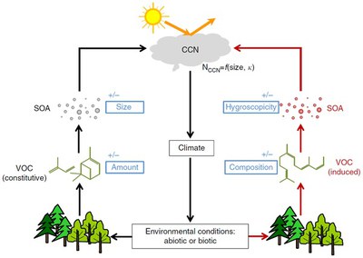 Environmental conditions regulate the impact of plants on cloud formation