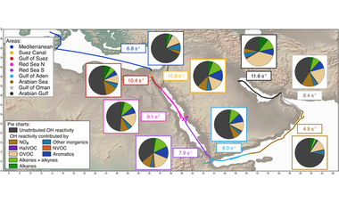 Shipborne measurements of total OH reactivity around the Arabian Peninsula and its role in ozone chemistry