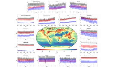 How alkaline compounds control atmospheric aerosol particle acidity