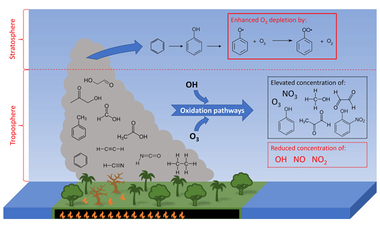 The impact of organic pollutants from Indonesian peatland fires on the tropospheric and lower stratospheric composition