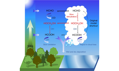 Ubiquitous atmospheric production of organic acids mediated by cloud droplets