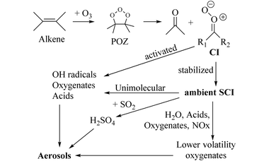 Unimolecular and water reactions of oxygenated and unsaturated Criegee intermediates under atmospheric conditions