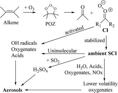 Unimolecular and water reactions of oxygenated and unsaturated Criegee intermediates under atmospheric conditions