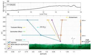 Inferring the diurnal variability of OH radical concentrations over the Amazon from BVOC measurements