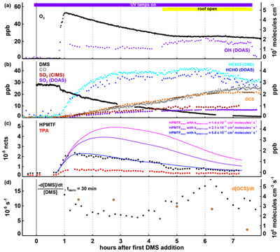 Measurement report: Carbonyl sulfide production during dimethyl sulfide oxidation in the atmospheric simulation chamber SAPHIR